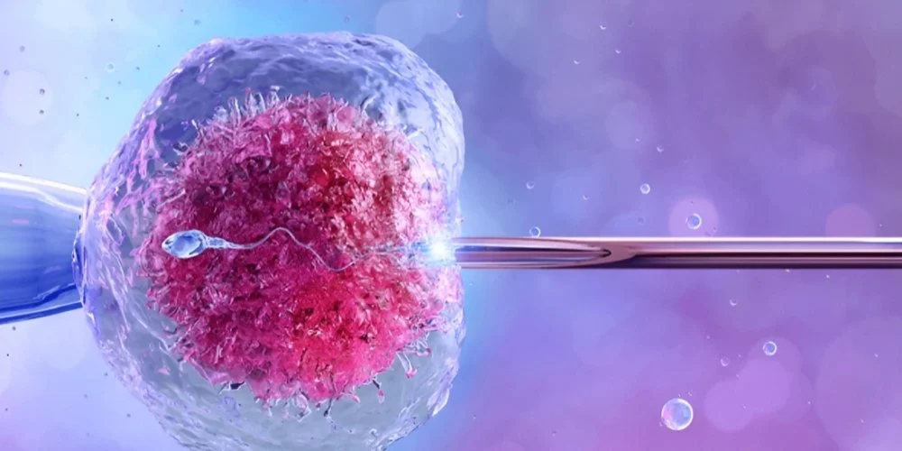 IVF Treatment