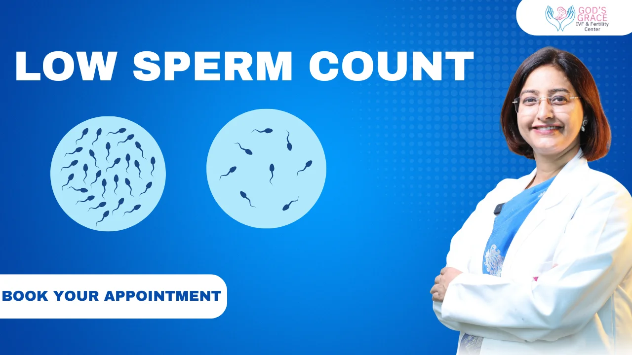 Low Sperm Count