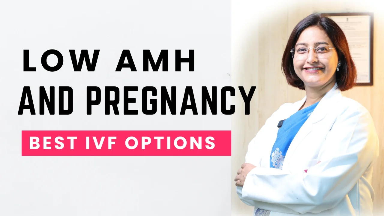 Low AMH and Pregnancy – Best IVF Options
